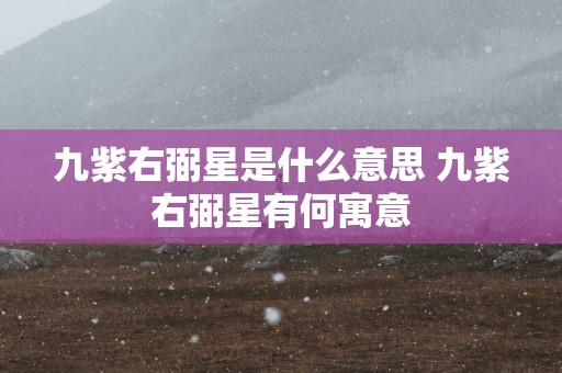 九紫右弼星是什么意思 九紫右弼星有何寓意