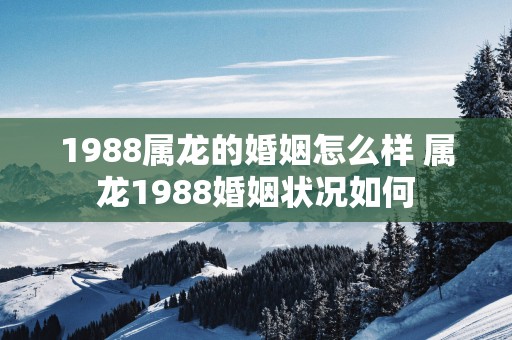 1988属龙的婚姻怎么样 属龙1988婚姻状况如何