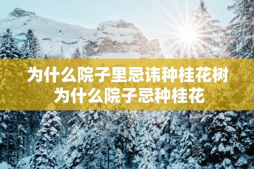 为什么院子里忌讳种桂花树 为什么院子忌种桂花