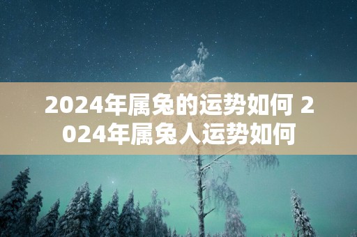 2025年属兔的运势如何 2025年属兔人运势如何