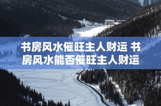 书房风水催旺主人财运 书房风水能否催旺主人财运