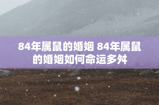 84年属鼠的婚姻 84年属鼠的婚姻如何命运多舛