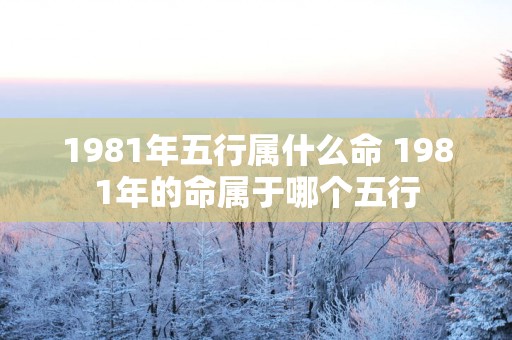 1981年五行属什么命 1981年的命属于哪个五行