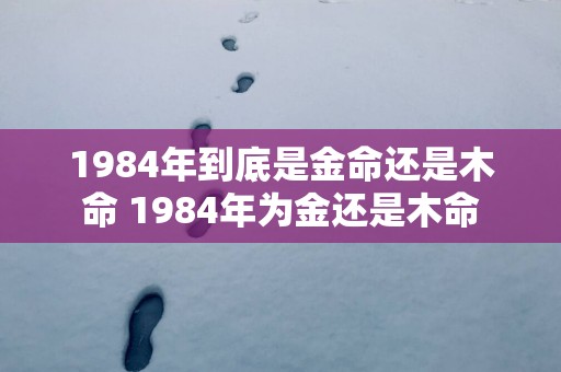 1984年到底是金命还是木命 1984年为金还是木命