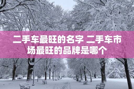 二手车最旺的名字 二手车市场最旺的品牌是哪个