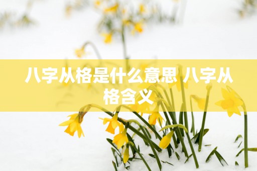 八字从格是什么意思 八字从格含义