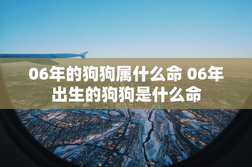 06年的狗狗属什么命 06年出生的狗狗是什么命
