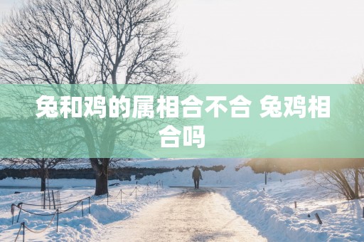 兔和鸡的属相合不合 兔鸡相合吗