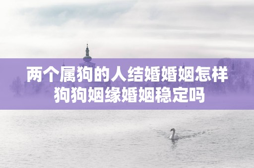 两个属狗的人结婚婚姻怎样 狗狗姻缘婚姻稳定吗