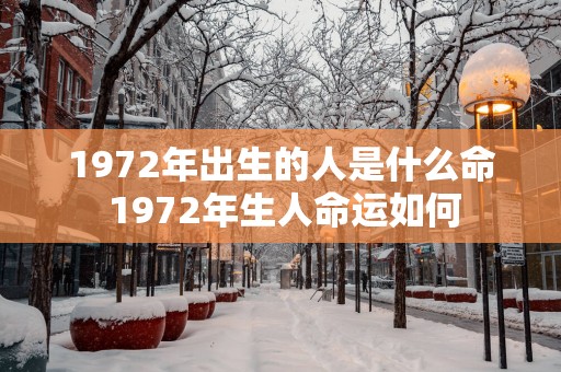 1972年出生的人是什么命 1972年生人命运如何