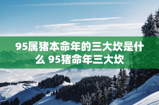 95属猪本命年的三大坎是什么 95猪命年三大坎