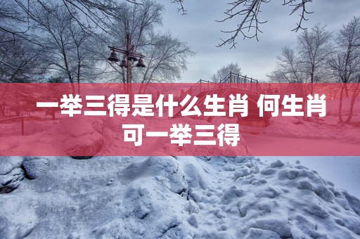 一举三得是什么生肖 何生肖可一举三得