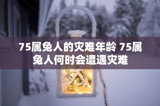 75属兔人的灾难年龄 75属兔人何时会遭遇灾难