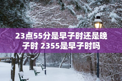 23点55分是早子时还是晚子时 2355是早子时吗