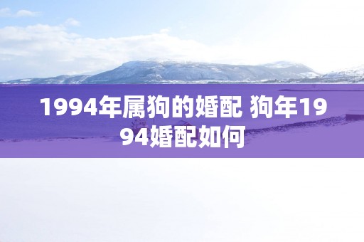 1994年属狗的婚配 狗年1994婚配如何