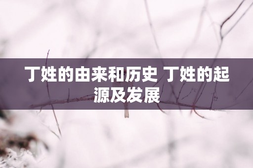 丁姓的由来和历史 丁姓的起源及发展