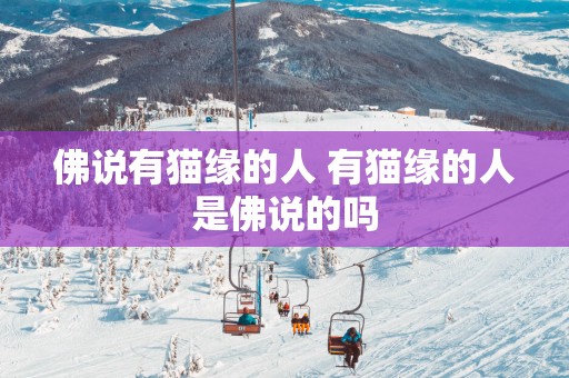 佛说有猫缘的人 有猫缘的人是佛说的吗