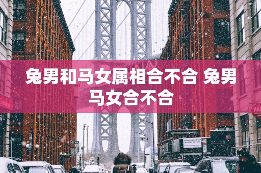 兔男和马女属相合不合 兔男马女合不合