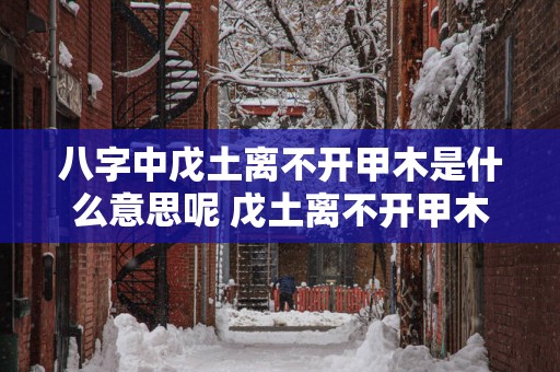 八字中戊土离不开甲木是什么意思呢 戊土离不开甲木的含义