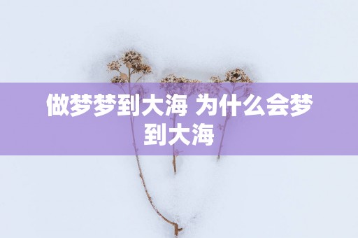 做梦梦到大海 为什么会梦到大海