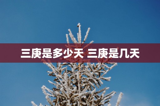 三庚是多少天 三庚是几天