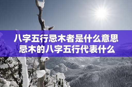 八字五行忌木者是什么意思 忌木的八字五行代表什么