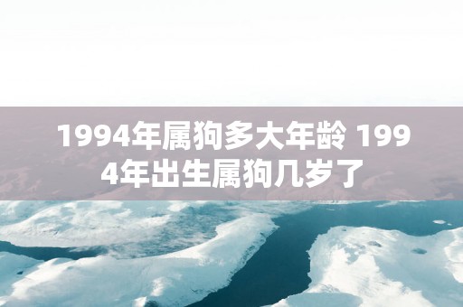 1994年属狗多大年龄 1994年出生属狗几岁了
