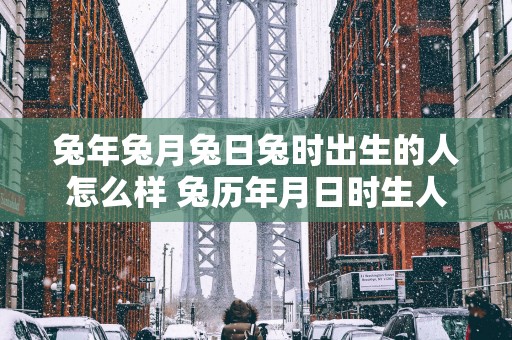 蛇年兔月兔日兔时出生的人怎么样 兔历年月日时生人运势如何