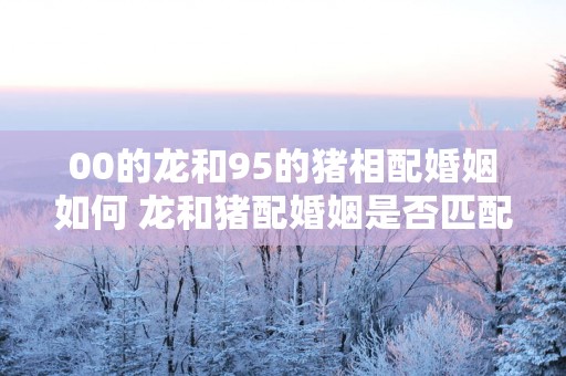 00的龙和95的猪相配婚姻如何 龙和猪配婚姻是否匹配