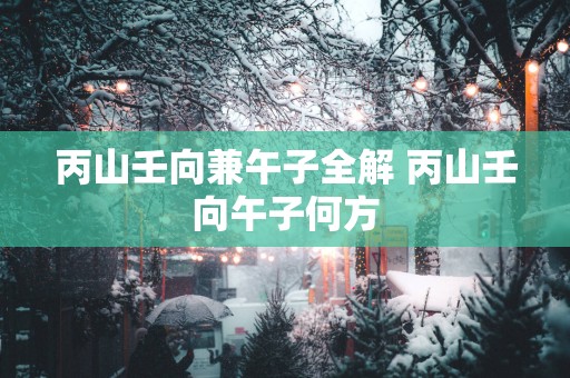 丙山壬向兼午子全解 丙山壬向午子何方
