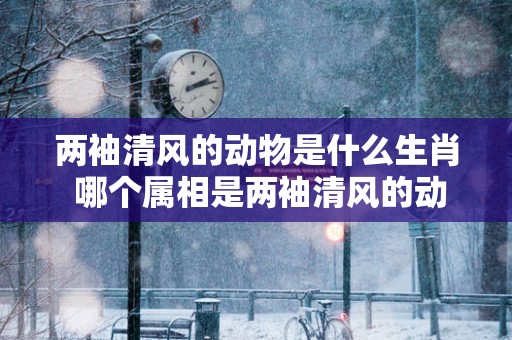 两袖清风的动物是什么生肖 哪个属相是两袖清风的动物