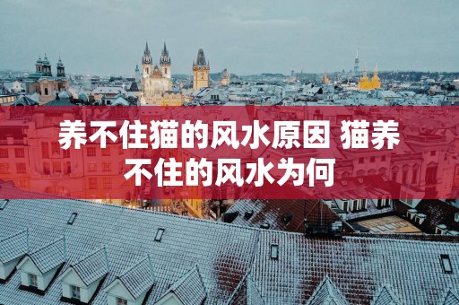 养不住猫的风水原因 猫养不住的风水为何