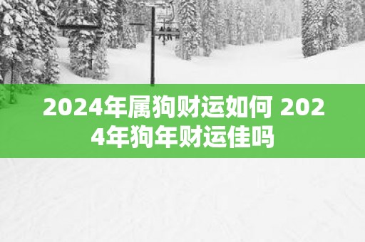 2025年属狗财运如何 2025年狗年财运佳吗
