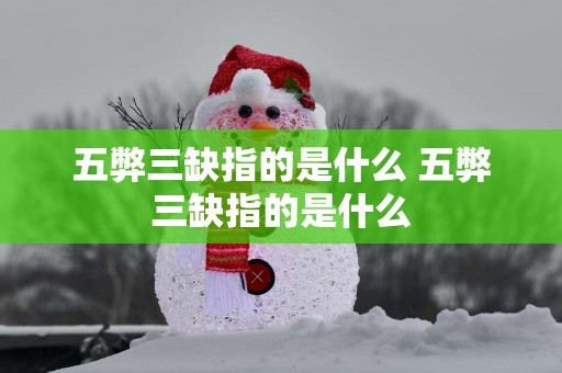 五弊三缺指的是什么 五弊三缺指的是什么