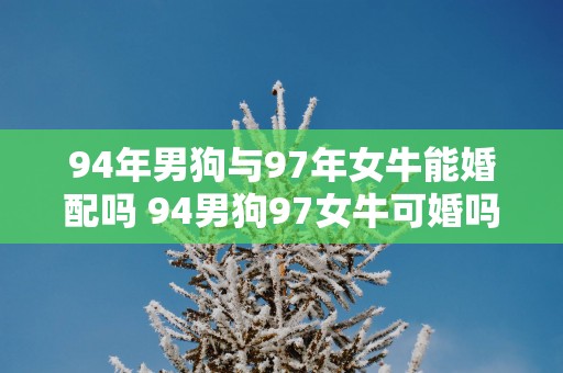 94年男狗与97年女牛能婚配吗 94男狗97女牛可婚吗