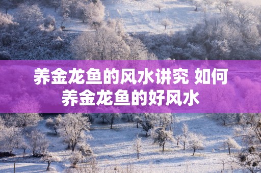 养金龙鱼的风水讲究 如何养金龙鱼的好风水
