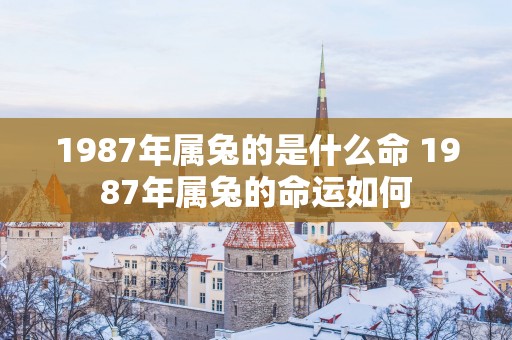 1987年属兔的是什么命 1987年属兔的命运如何