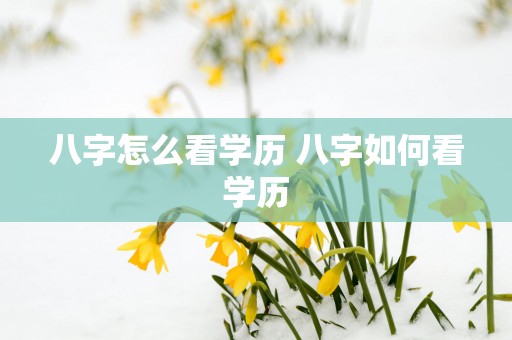 八字怎么看学历 八字如何看学历