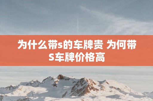 为什么带s的车牌贵 为何带S车牌价格高