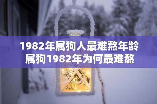 1982年属狗人最难熬年龄 属狗1982年为何最难熬