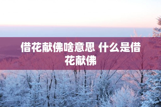 借花献佛啥意思 什么是借花献佛