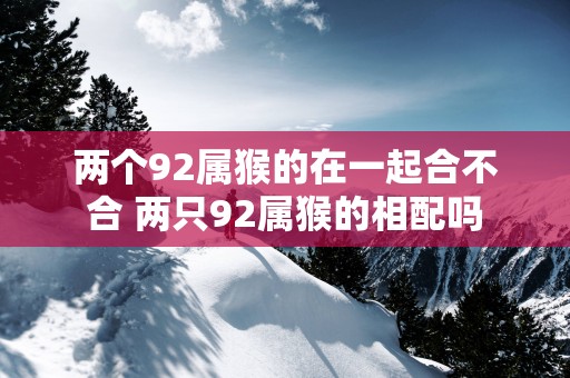 两个92属猴的在一起合不合 两只92属猴的相配吗
