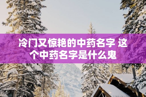 冷门又惊艳的中药名字 这个中药名字是什么鬼