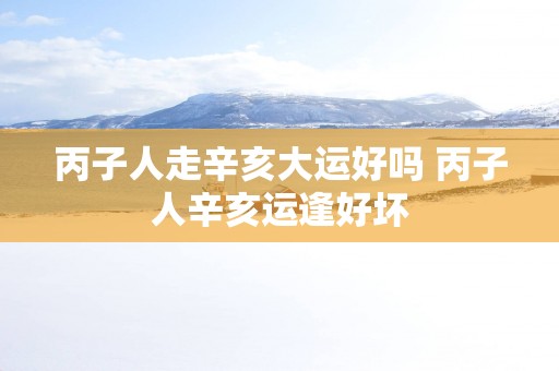 丙子人走辛亥大运好吗 丙子人辛亥运逢好坏