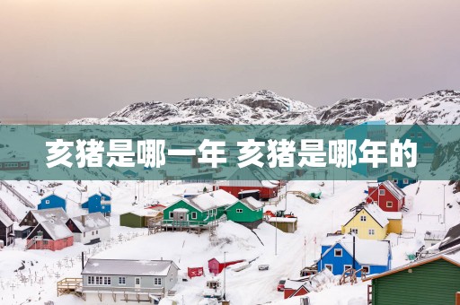亥猪是哪一年 亥猪是哪年的