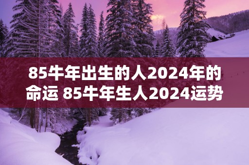 85蛇年出生的人2025年的命运 85蛇年生人2025运势如何