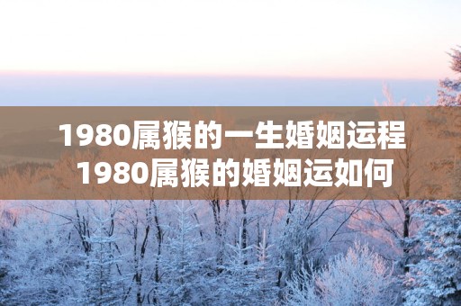1980属猴的一生婚姻运程 1980属猴的婚姻运如何