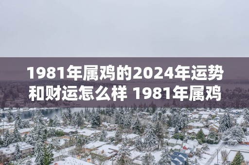 1981年属鸡的2025年运势和财运怎么样 1981年属鸡2025年运势和财运如何