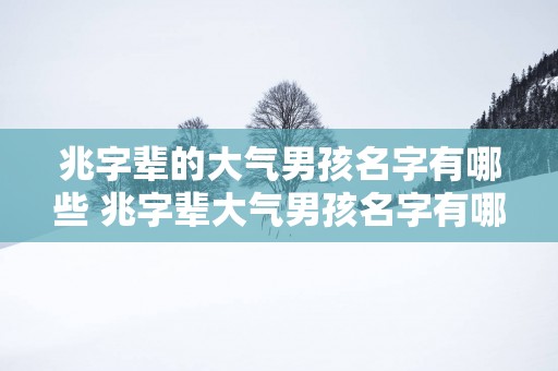 兆字辈的大气男孩名字有哪些 兆字辈大气男孩名字有哪些