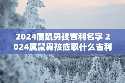 2025属鼠男孩吉利名字 2025属鼠男孩应取什么吉利名字
